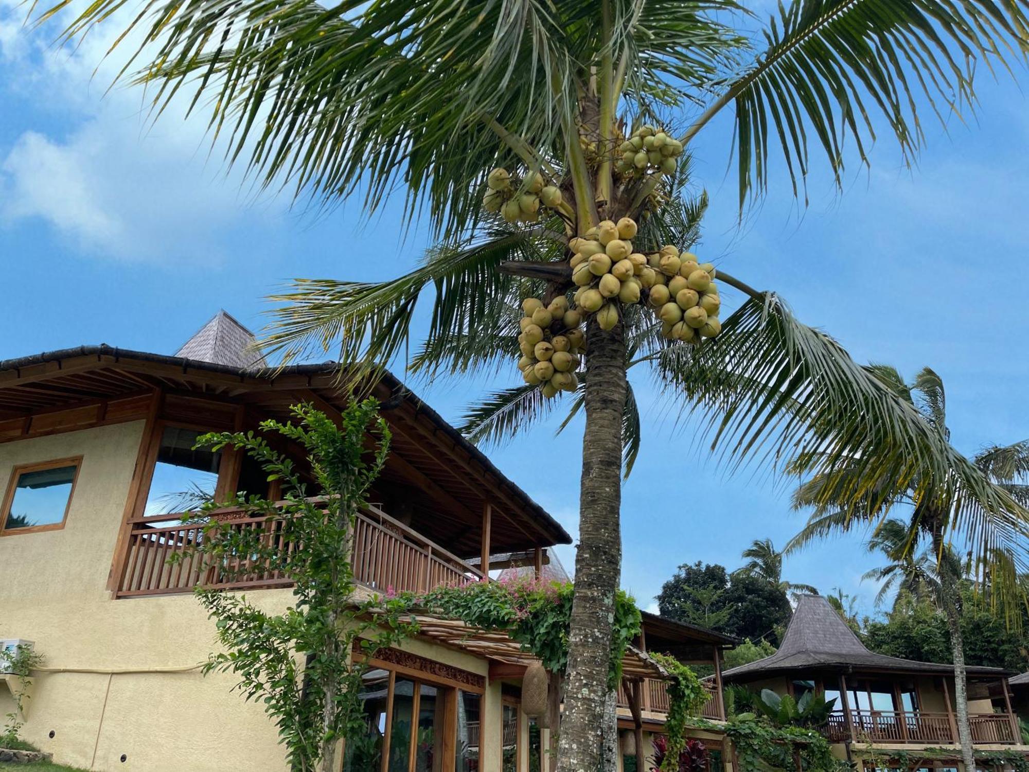 Puri Dajuma Terrace Eco Lodge & Spa Selemadeg  Exterior foto